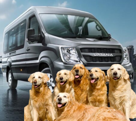 Why Premium Travels Is The Perfect Travel Companion For Pet Parents.